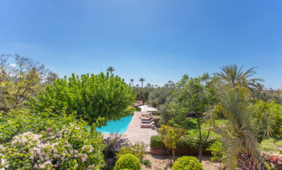 Royaume des Oliviers Exclusive Marrakech Retreat in Morocco